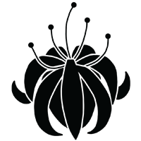 VerüsKa 925 Natural Skincare